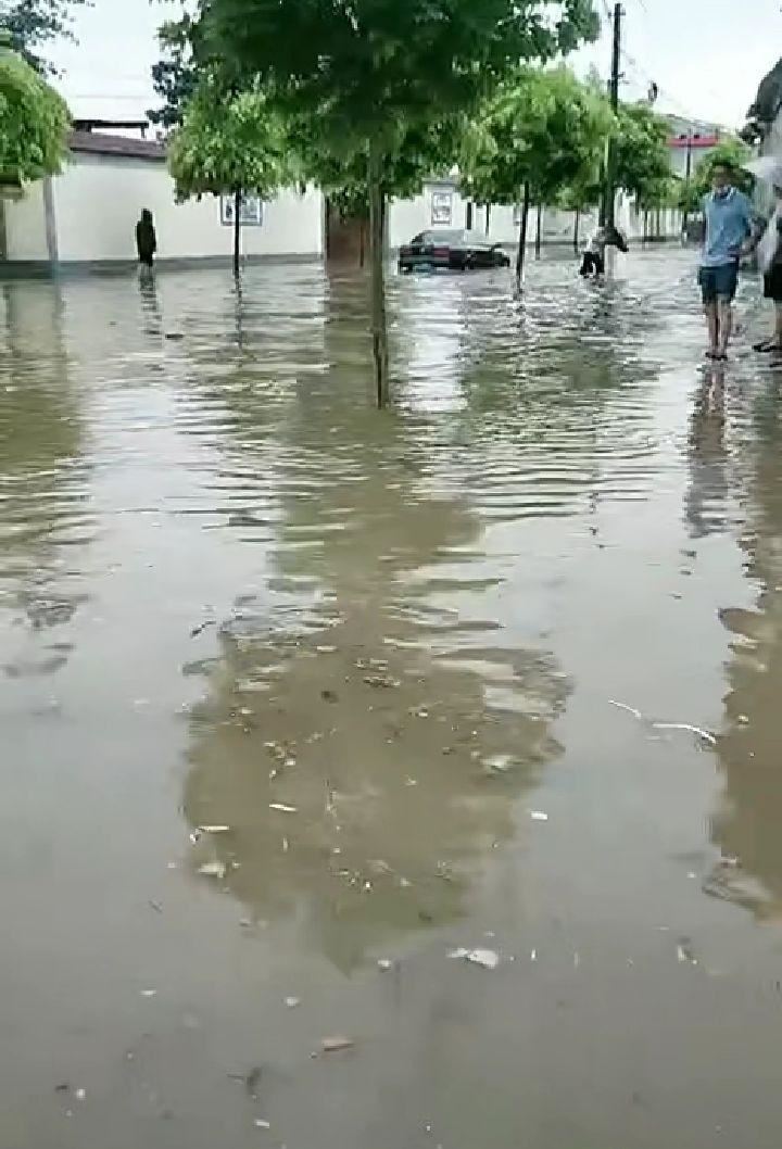 昨天的雨,宁晋县黄儿营村下的真大啊