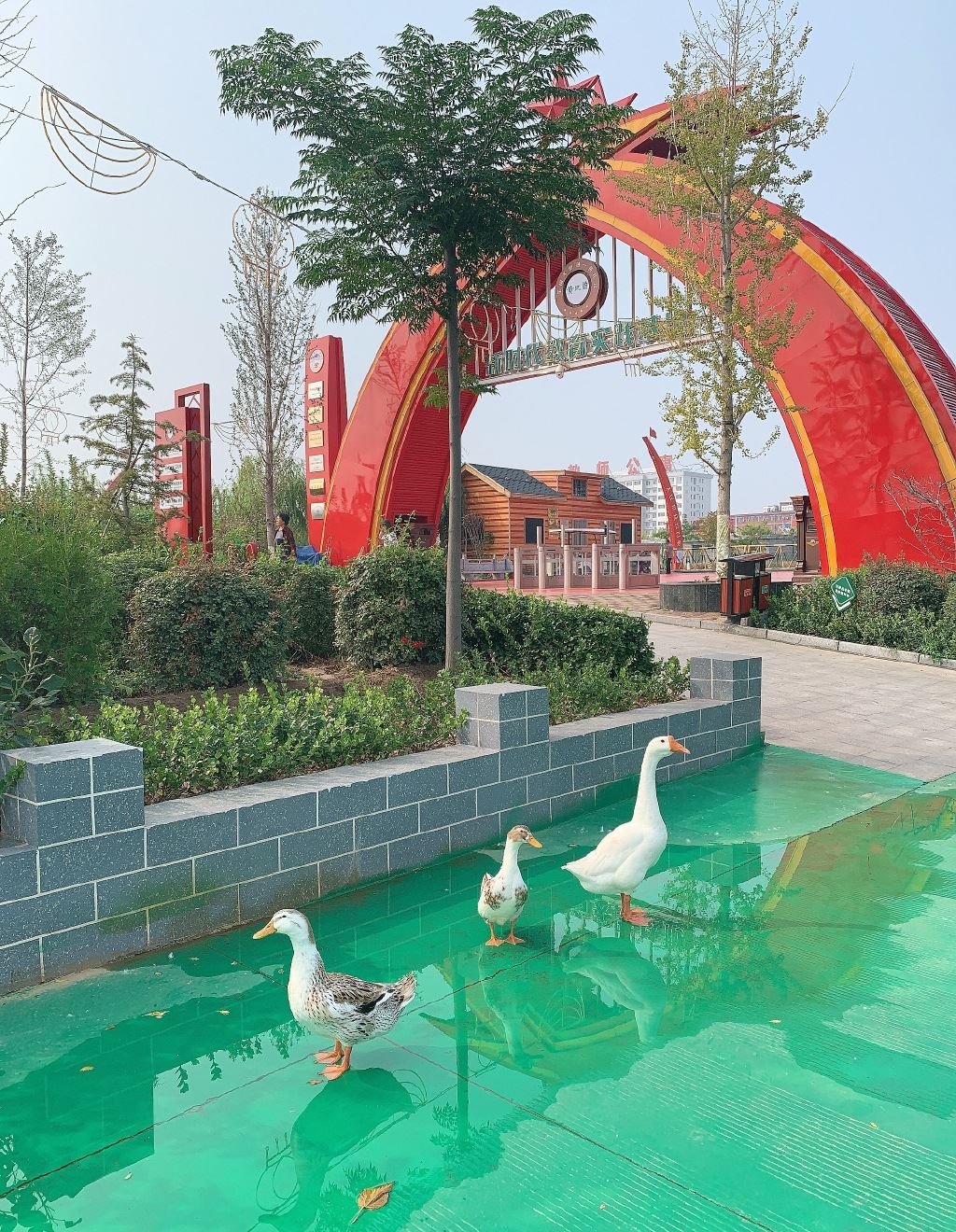 邢台宁晋黄儿营生态园带女同学转了一圈感觉还行